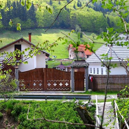 Gospodaria Lui Nea Ion Vama Buzăului Exteriér fotografie
