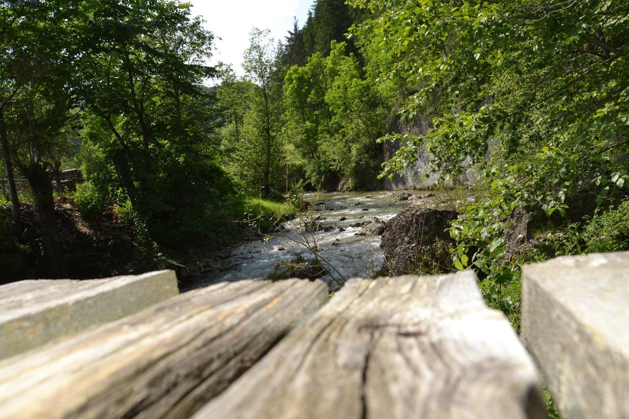 Gospodaria Lui Nea Ion Vama Buzăului Exteriér fotografie