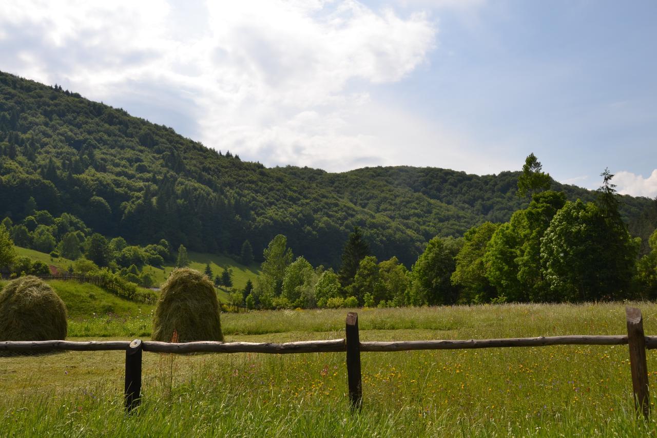 Gospodaria Lui Nea Ion Vama Buzăului Exteriér fotografie