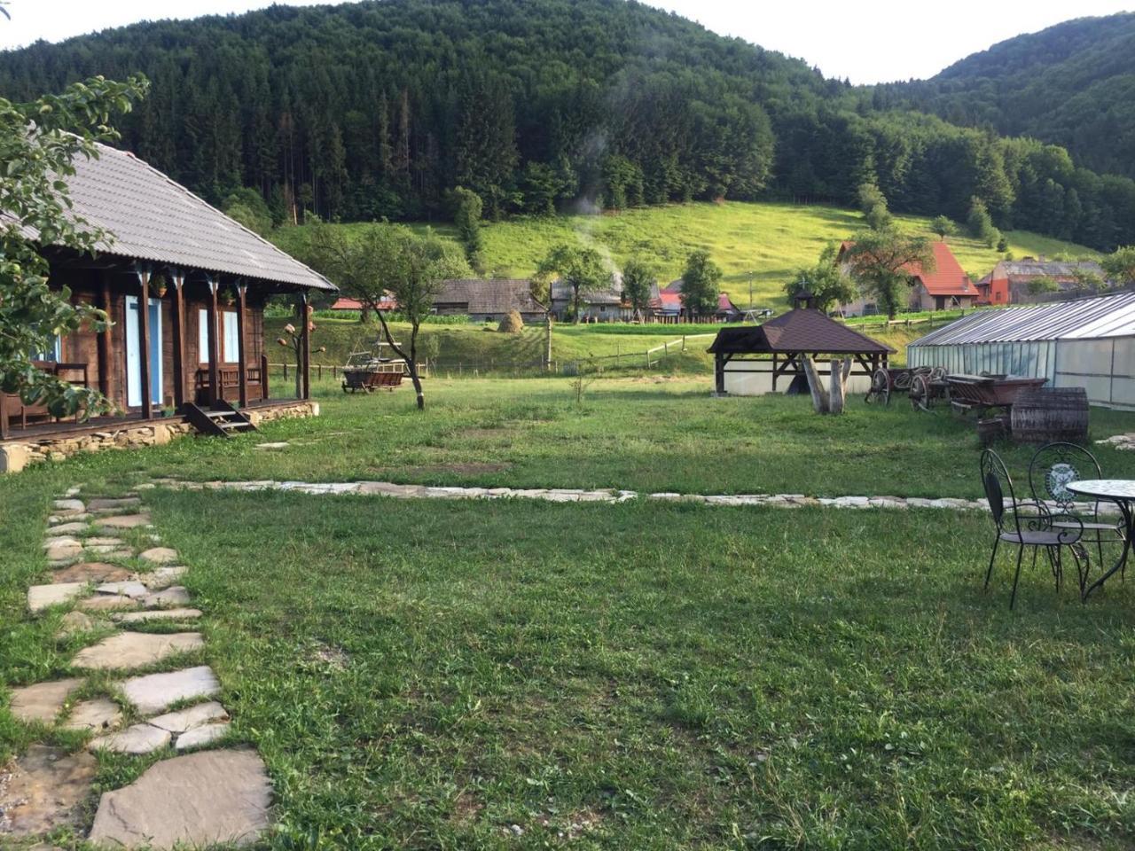 Gospodaria Lui Nea Ion Vama Buzăului Exteriér fotografie