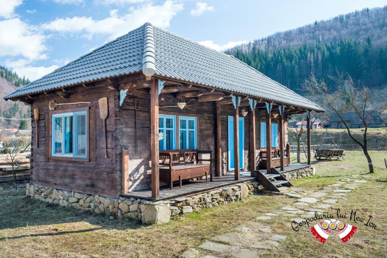 Gospodaria Lui Nea Ion Vama Buzăului Exteriér fotografie