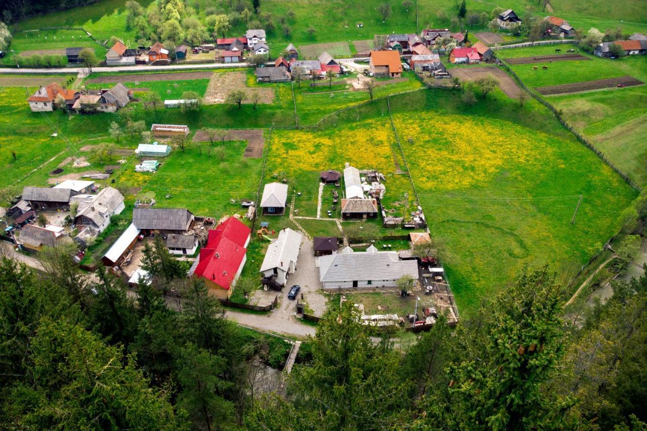 Gospodaria Lui Nea Ion Vama Buzăului Exteriér fotografie